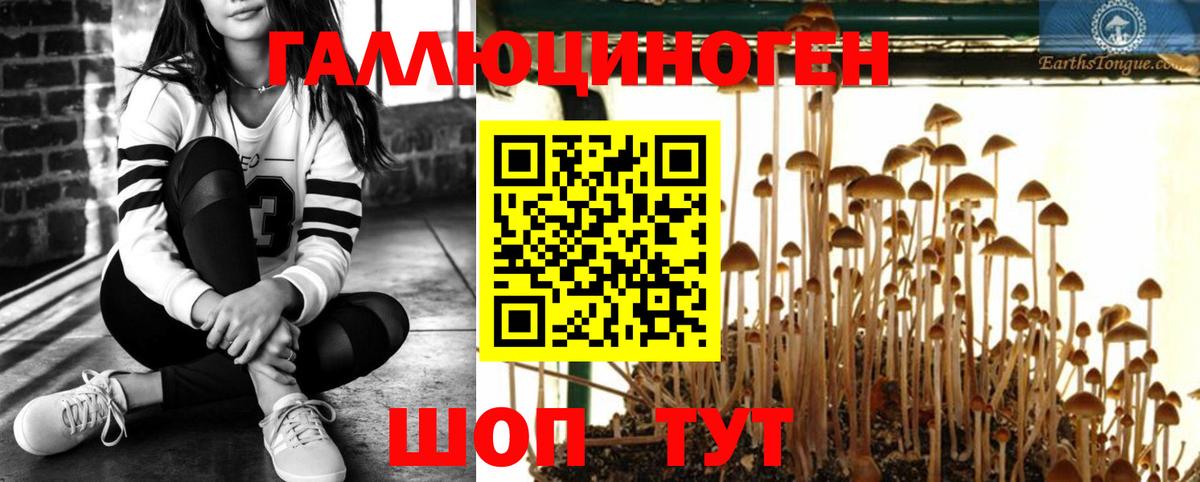 Псилоцибиновые грибы GOLDEN TEACHER Ейск
