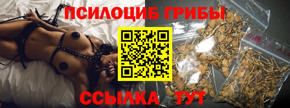 Галлюциногенные грибы MAGIC MUSHROOMS  Вход с VPN  Ейск 